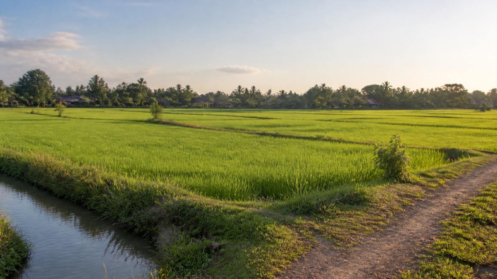 Sample 0106-1 · Development Land Parcel — Xaythany, Vientiane Capital